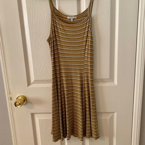 Medium Mustard Yellow Charlotte Russe Dress